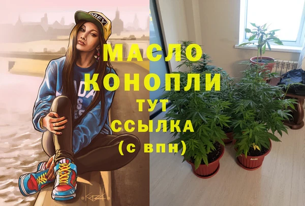 молекула духа Балахна